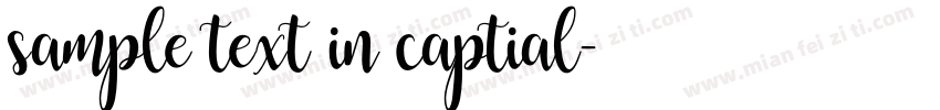 sample text in captial字体转换